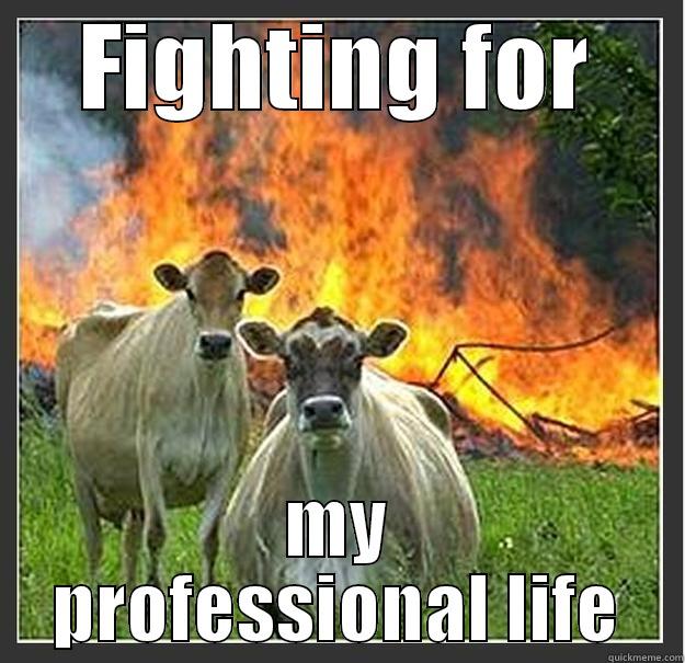 I will survive - FIGHTING FOR MY PROFESSIONAL LIFE Evil cows