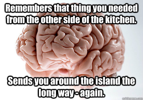 Remembers that thing you needed from the other side of the kitchen. Sends you around the island the long way - again.  Scumbag Brain