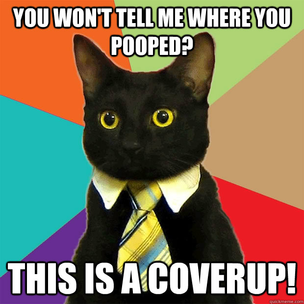 You won't tell me where you pooped? This is a coverup!  Business Cat