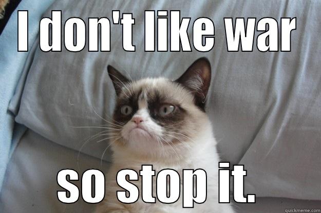 Catastrophe in Egypt - I DON'T LIKE WAR SO STOP IT. Grumpy Cat