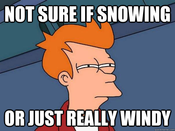 Not sure if snowing Or just really windy  Futurama Fry