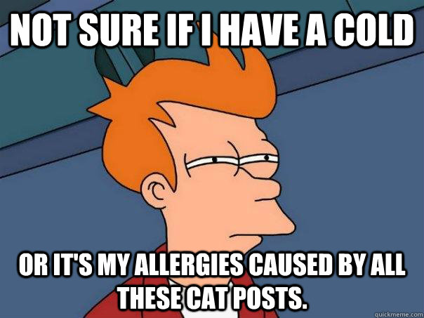 Not sure if I have a cold or it's my allergies caused by all these cat posts.  Futurama Fry