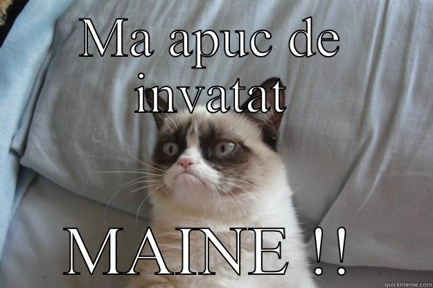 MA APUC DE INVATAT MAINE !! Grumpy Cat