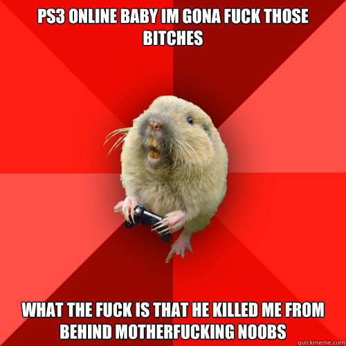 ps3 online baby im gona fuck those bitches what the fuck is that he killed me from behind motherfucking noobs  Gaming Gopher