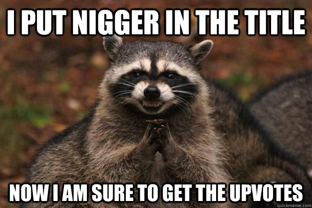 I put nigger in the title Now i am sure to get the upvotes - I put nigger in the title Now i am sure to get the upvotes  Evil Plotting Raccoon