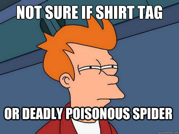 not sure if shirt tag or deadly poisonous spider - not sure if shirt tag or deadly poisonous spider  Futurama Fry