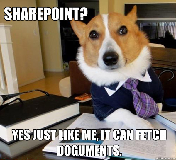 sharepoint? Yes just like me, it can fetch doguments.  Lawyer Dog