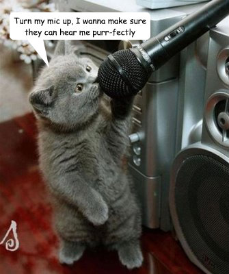 Turn my mic up, I wanna make sure they can hear me purr-fectly  Singing cat