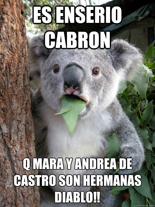 Es enserio cabron q mara y andrea de castro son hermanas diablo‼  koala bear