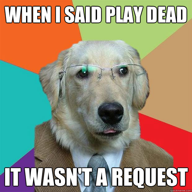 when i said play dead it wasn't a request  Business Dog