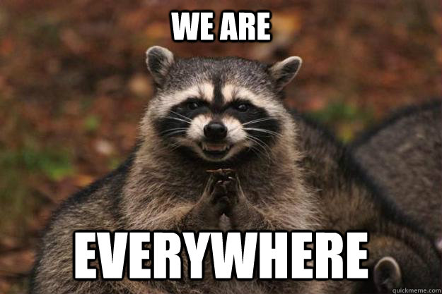 we are EVERYWHERE  Evil Plotting Raccoon