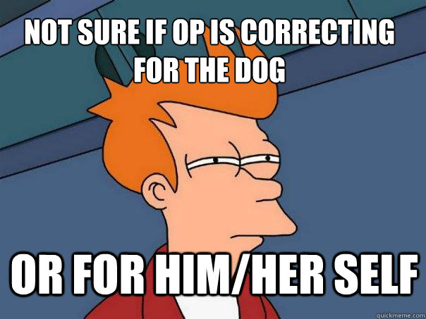 Not sure if OP is correcting for the dog or for him/her self  Futurama Fry