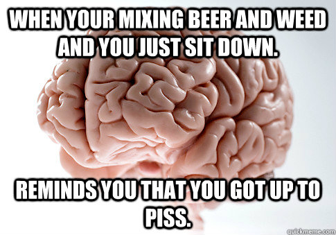 When your mixing beer and weed and you just sit down. Reminds you that you got up to piss.  Scumbag Brain