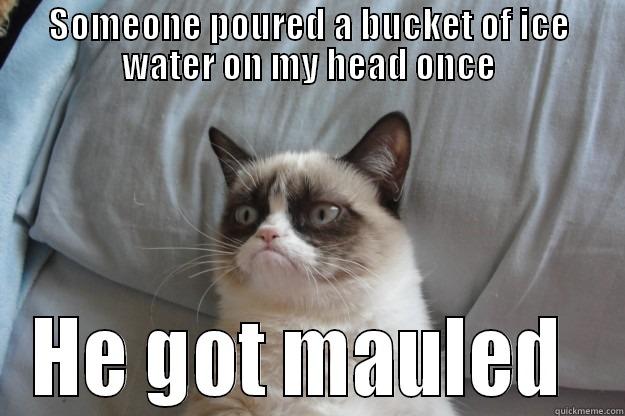 SOMEONE POURED A BUCKET OF ICE WATER ON MY HEAD ONCE HE GOT MAULED  Grumpy Cat