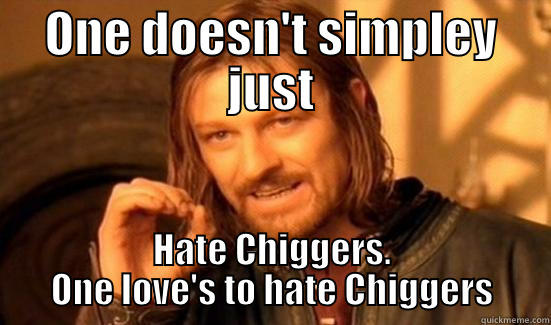 chigger chigger - ONE DOESN'T SIMPLEY JUST HATE CHIGGERS. ONE LOVE'S TO HATE CHIGGERS Boromir