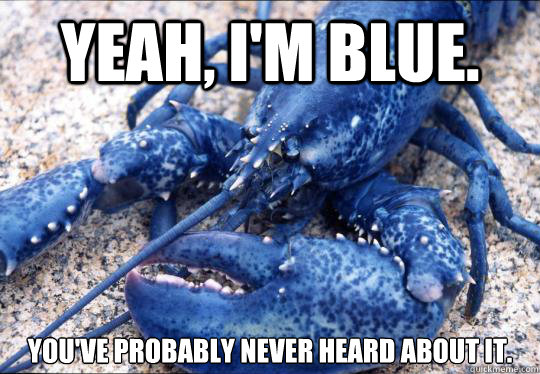 Yeah, i'm blue. You've probably never heard about it. - Yeah, i'm blue. You've probably never heard about it.  Hipster Lobster