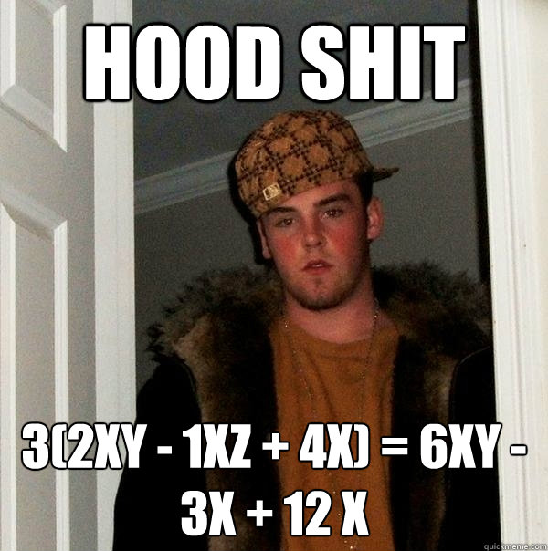 hood shit 3(2xy - 1xz + 4x) = 6xy - 3x + 12 x  - hood shit 3(2xy - 1xz + 4x) = 6xy - 3x + 12 x   Scumbag Steve