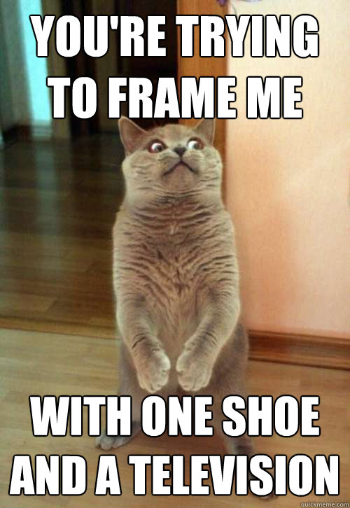 you're trying to frame me with one shoe and a television  Horrorcat