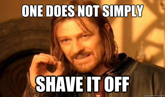 One Does Not Simply shave it off - One Does Not Simply shave it off  Boromir