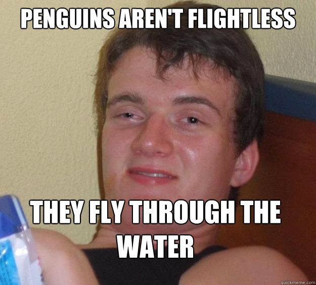 Penguins aren't flightless They fly through the water   10 Guy