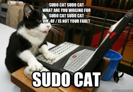 sudo cat sudo cat 
what are you wailing for
sudo cat sudo cat
rm -rf / is not your fault
 Sudo cat - sudo cat sudo cat 
what are you wailing for
sudo cat sudo cat
rm -rf / is not your fault
 Sudo cat  Sudocat