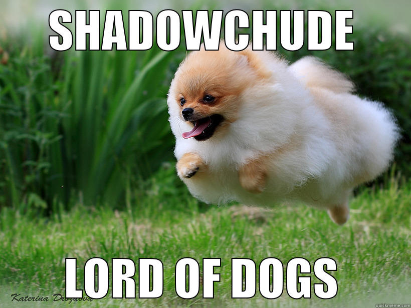 SHADOWCHUDE LORD OF DOGS Misc