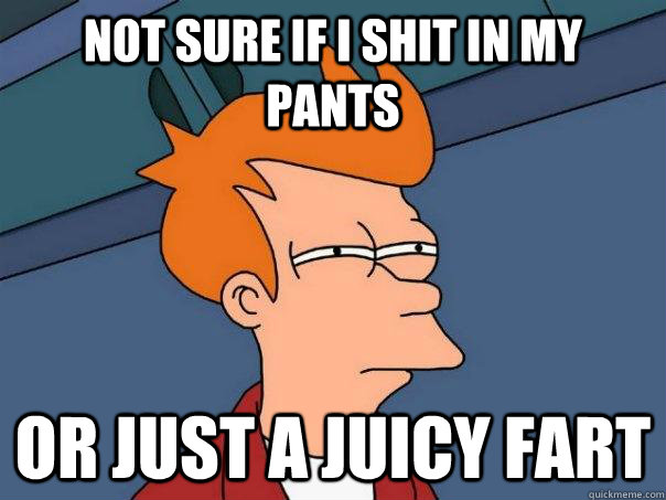 Not sure if i shit in my pants  Or just a juicy fart  Futurama Fry