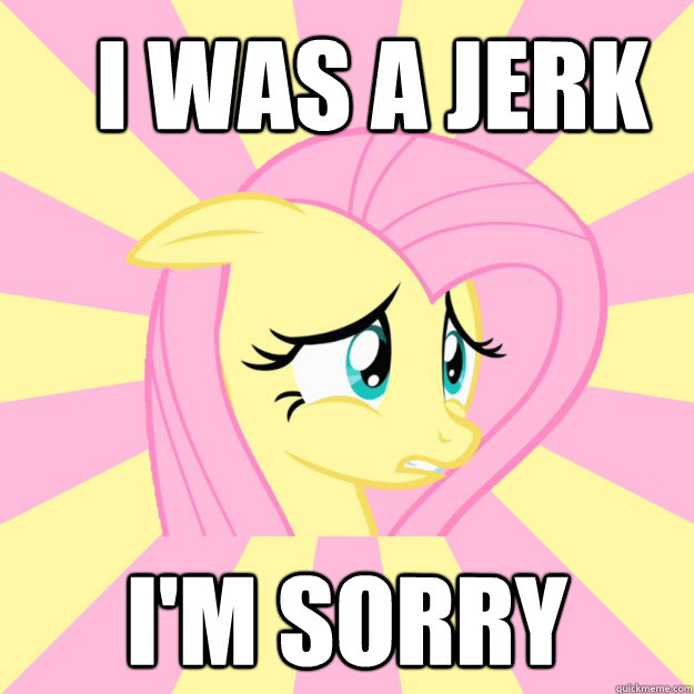 I was a Jerk I'm sorry - I was a Jerk I'm sorry  Socially awkward brony