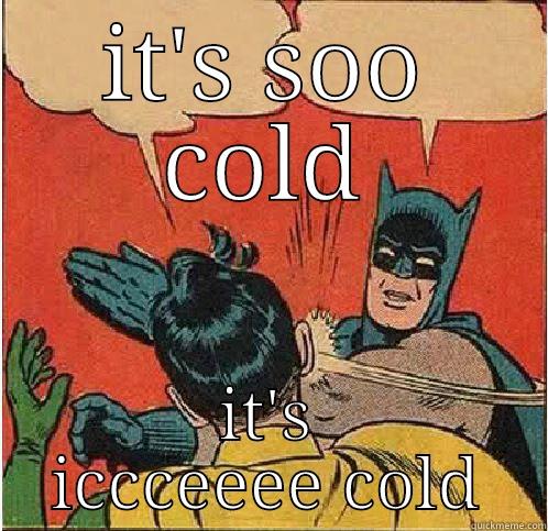 IT'S SOO COLD IT'S ICCCEEEE COLD Batman Slapping Robin