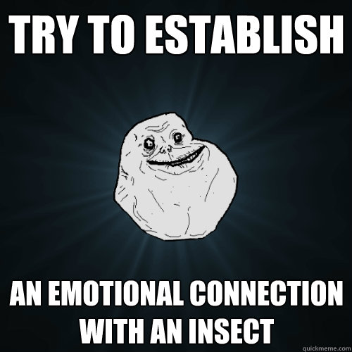 Try to establish an emotional connection with an insect - Try to establish an emotional connection with an insect  Forever Alone