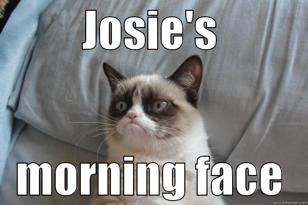 JOSIE'S MORNING FACE Grumpy Cat