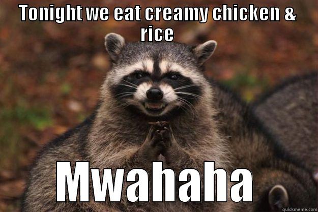 TONIGHT WE EAT CREAMY CHICKEN & RICE MWAHAHA Evil Plotting Raccoon