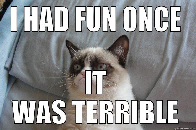 I HAD FUN ONCE IT WAS TERRIBLE Grumpy Cat