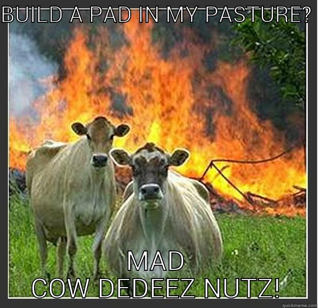 BUILD A PAD IN MY PASTURE?  MAD COW DEDEEZ NUTZ! Evil cows