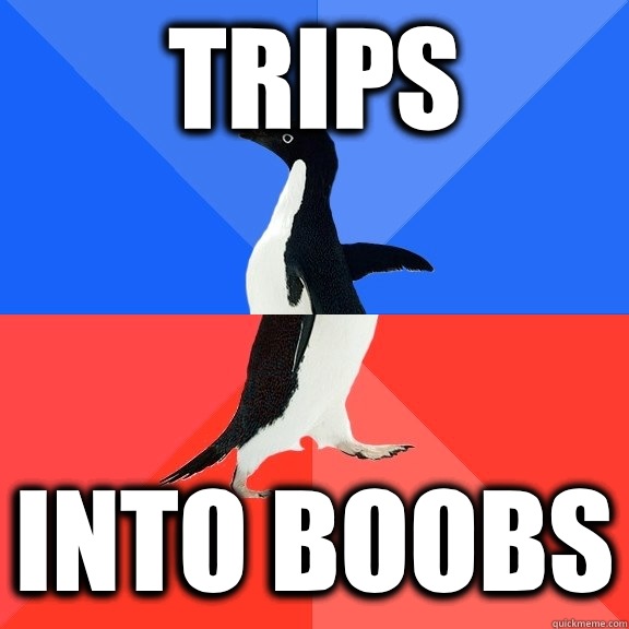 Trips Into boobs  Socially Awkward Awesome Penguin