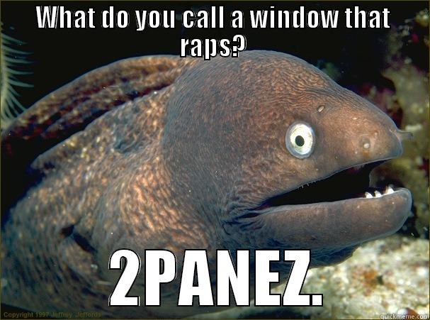 WHAT DO YOU CALL A WINDOW THAT RAPS?  2PANEZ. Bad Joke Eel