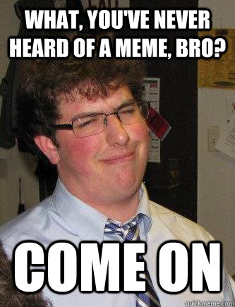 what, you've never heard of a meme, bro? come on - what, you've never heard of a meme, bro? come on  Condescending Ethan