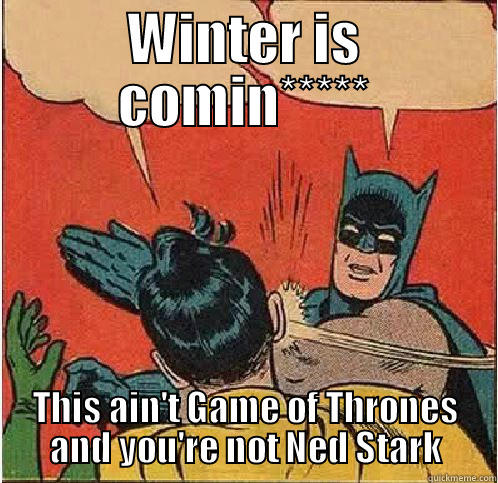 WINTER IS COMIN***** THIS AIN'T GAME OF THRONES AND YOU'RE NOT NED STARK Batman Slapping Robin