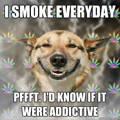 I smoke everyday pffft. I'd know if it were addictive  Stoner Dog