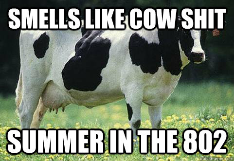 Smells like cow shit Summer in the 802 - Smells like cow shit Summer in the 802  Vermont Summer