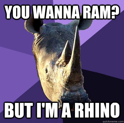 you wanna ram? but i'm a rhino  Sexually Oblivious Rhino