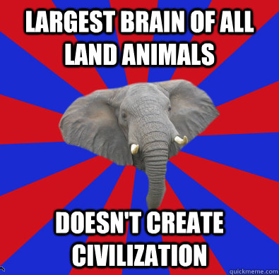 Largest brain of all land animals doesn't create civilization  