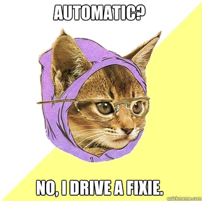 automatic? no, i drive a fixie.  Hipster Kitty