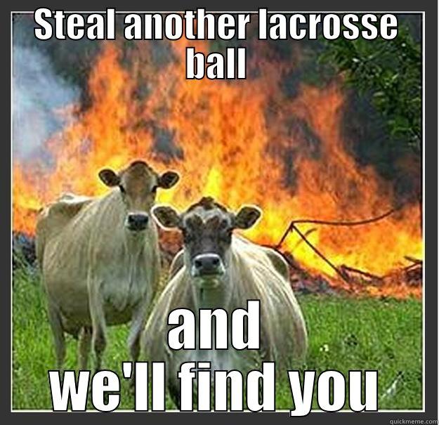 STEAL ANOTHER LACROSSE BALL AND WE'LL FIND YOU Evil cows