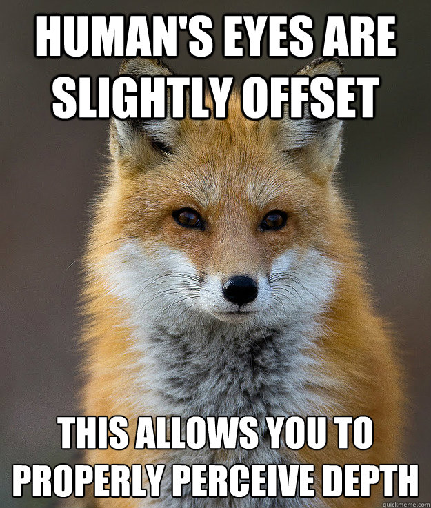 Human's eyes are slightly offset This allows you to properly perceive depth  Fun Fact Fox