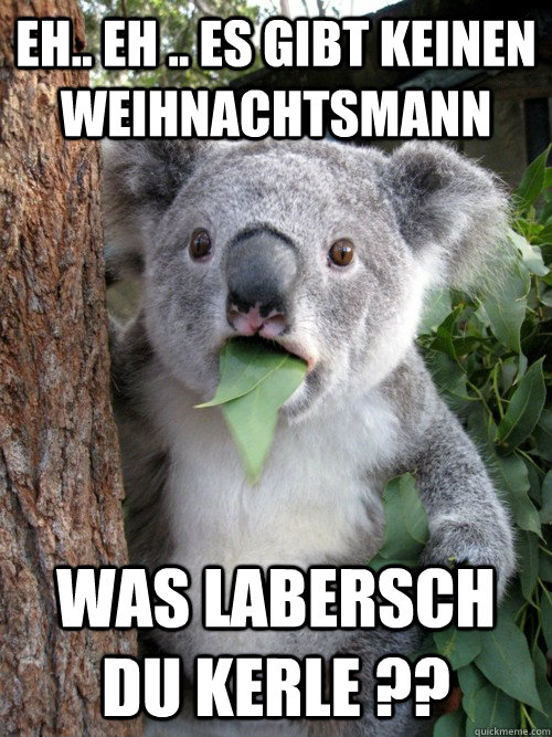 Eh.. eh .. es gibt keinen weihnachtsmann was labersch du kerle ??  koala bear