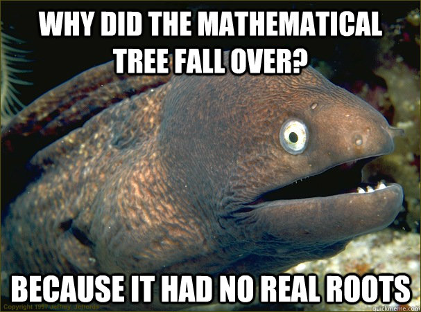 why did the mathematical tree fall over? because it had no real roots  Bad Joke Eel