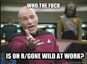 who the fuck is on r/gone wild at work? - who the fuck is on r/gone wild at work?  Annoyed Picard