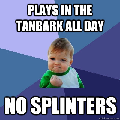 Plays in the tanbark all day no splinters  Success Kid