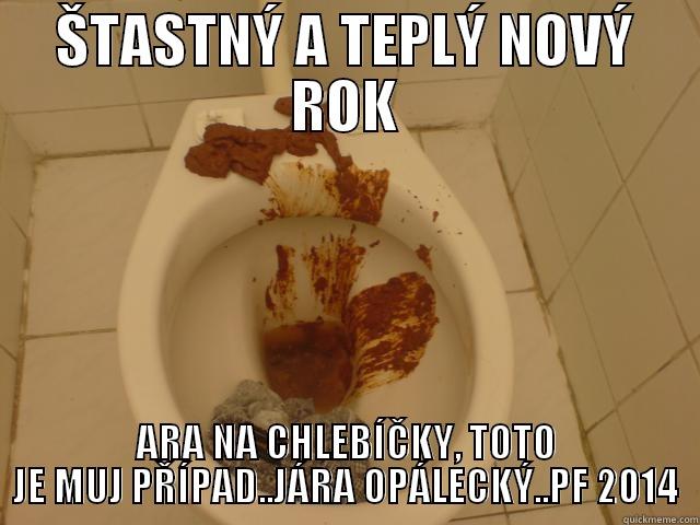 JARDUV ZACHOD - ŠTASTNÝ A TEPLÝ NOVÝ ROK ARA NA CHLEBÍČKY, TOTO JE MUJ PŘÍPAD..JÁRA OPÁLECKÝ..PF 2014 Misc